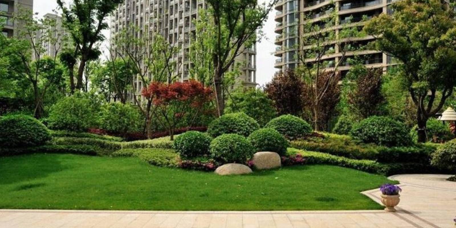 悟空体育社区互动栏目配图